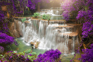 framedcanvas-print-photowallpaper-garden-eden