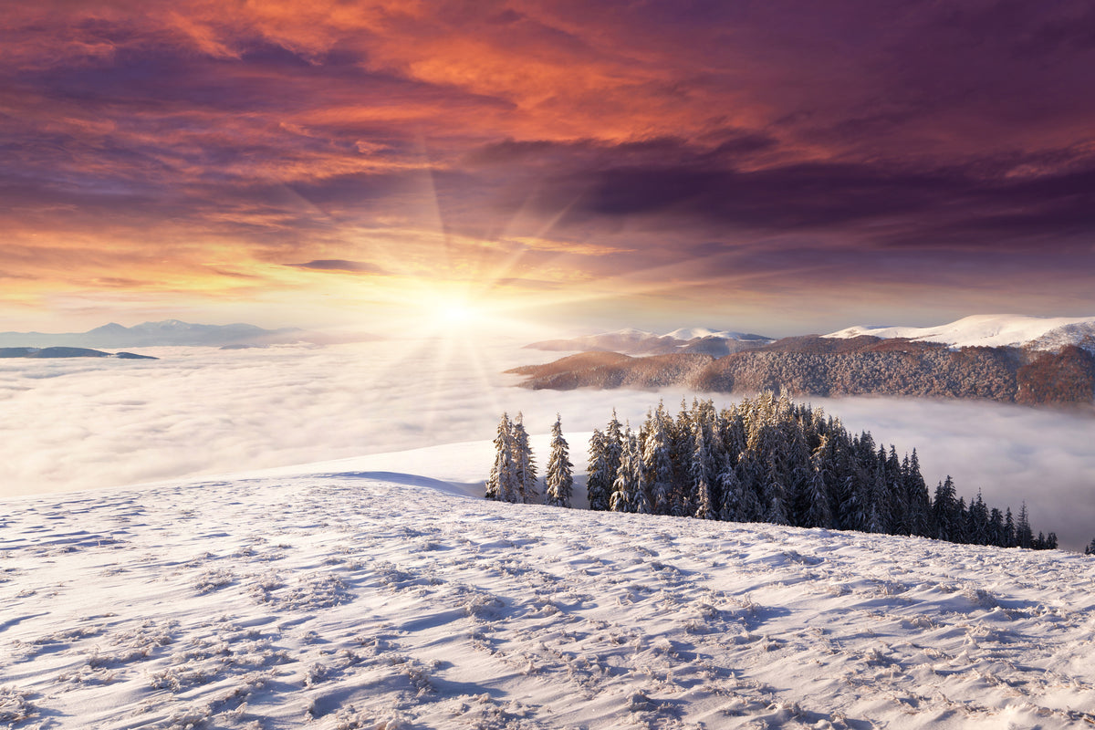 aluminium-print-sunrise-winter-landscape