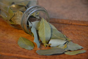 acrylic-print-bay-leaves