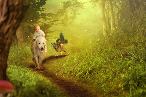 poster-print-forest-excursion