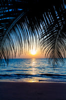 aluminium-print-through-the-palm