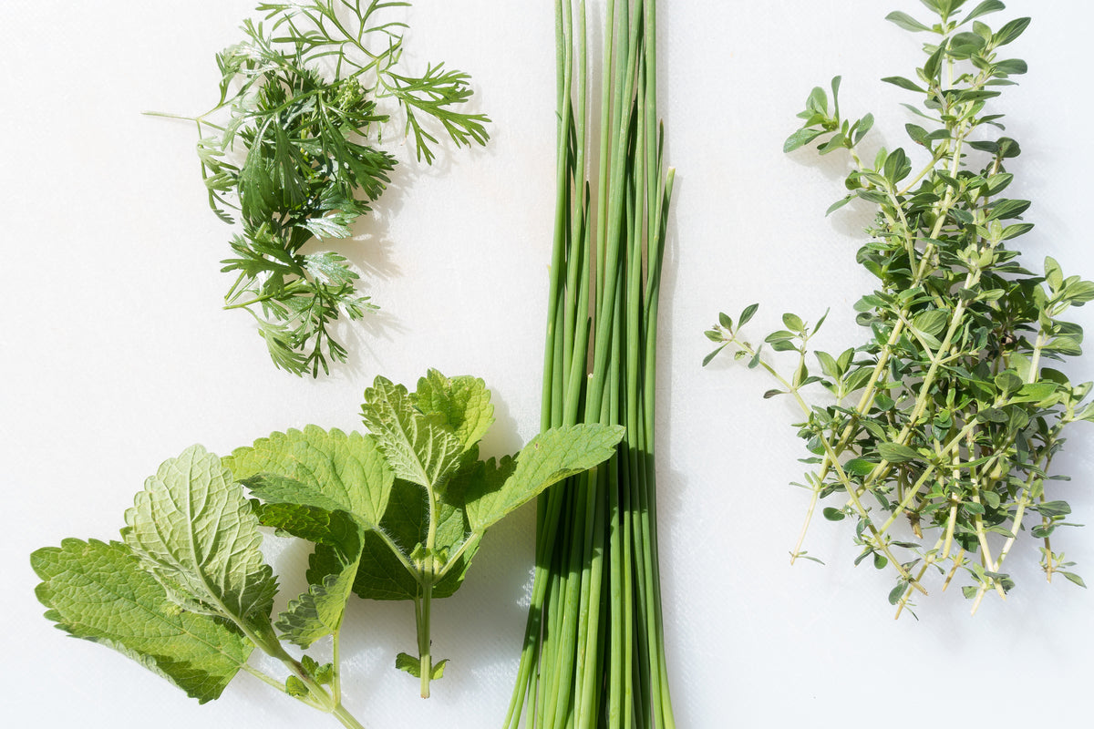 modern-3-piece-acrylic-print-fresh-herbs