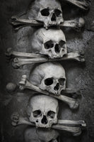 framedcanvas-print-skulls