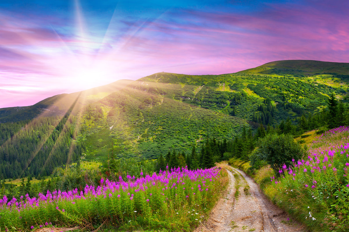 3-piece-canvas-print-a-summer-landscape-at-sunrise