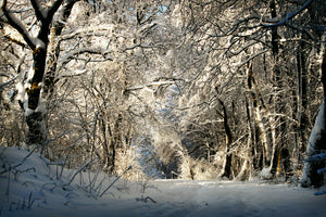 modern-3-piece-acrylic-print-a-winter-dream