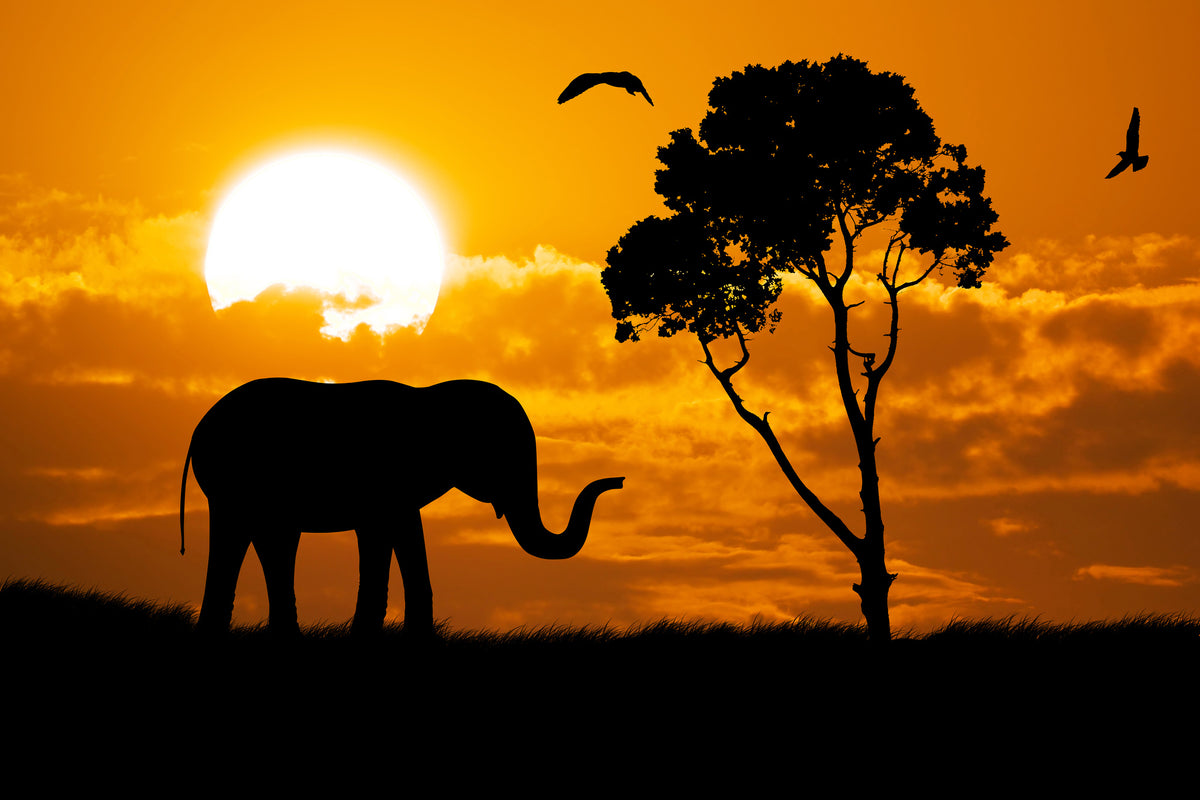 3-piece-canvas-print-dreamy-africa