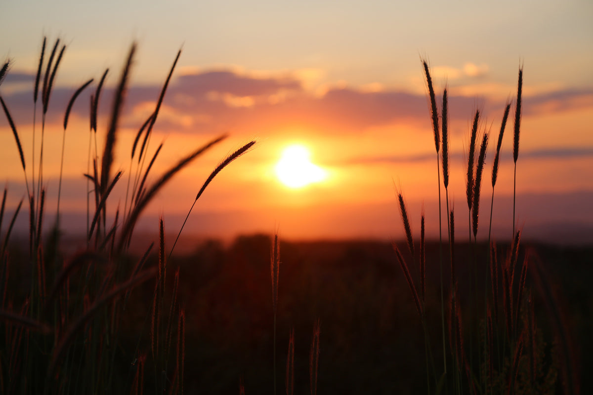 framedposter-print-adorable-sunset