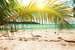 canvas-print-swing-out-of-the-hammock