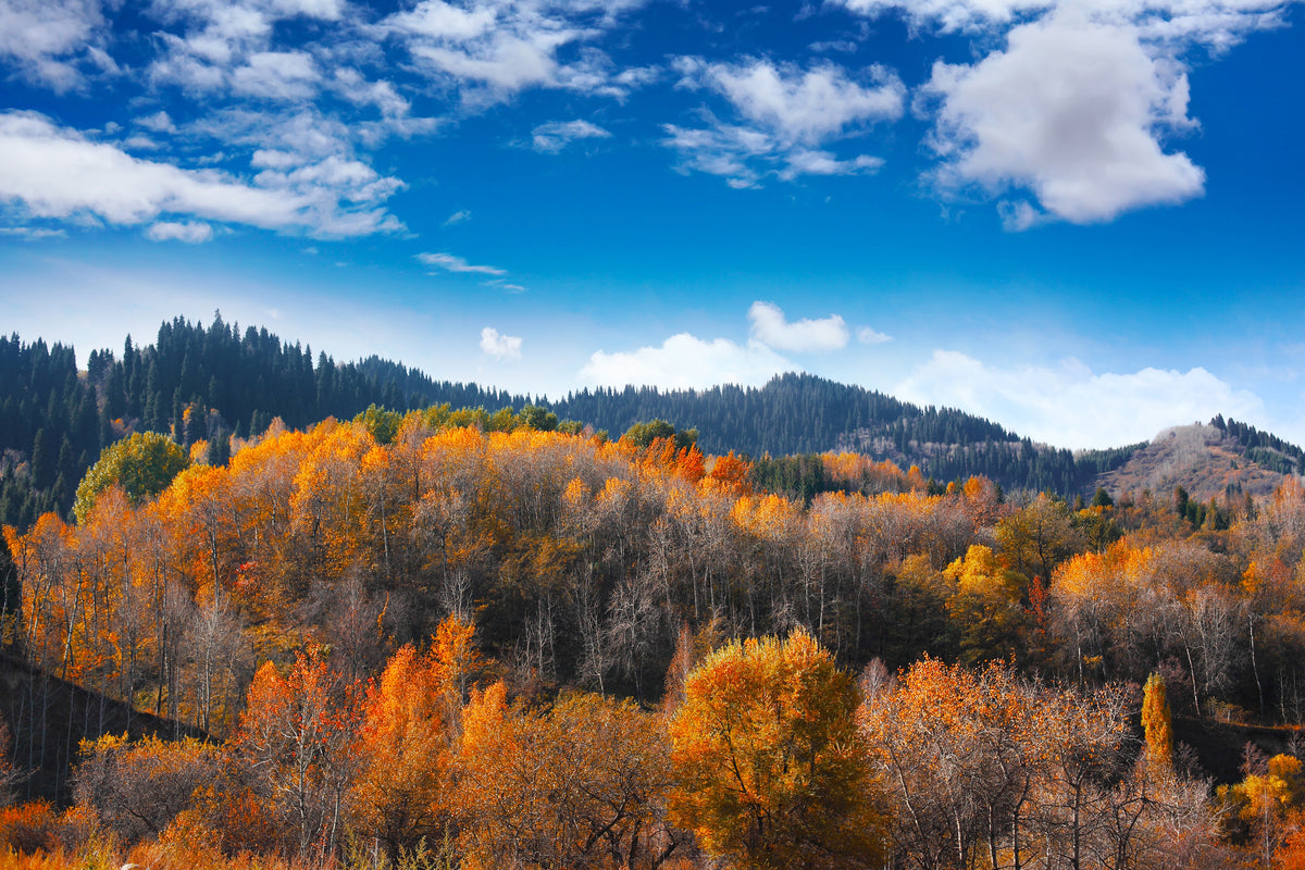 canvas-print-clouds-gather