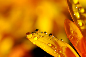 3-piece-canvas-print-drops-close-up