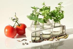 canvas-print-tomatoes-and-herbs