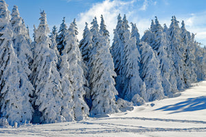 canvas-print-beautiful-winter-landscape