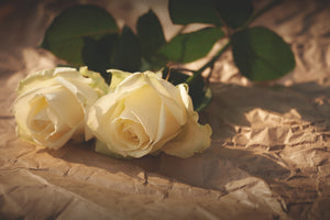 framedposter-print-the-purity-of-the-roses