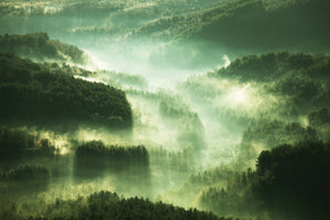 acrylic-print-over-the-woods