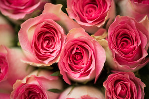 3-piece-canvas-print-rose-love