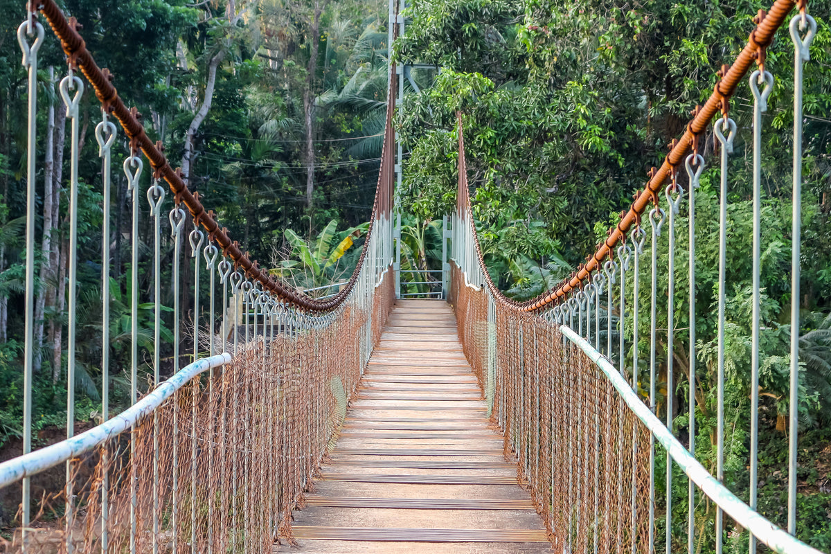 framedcanvas-print-bridge-for-the-brave