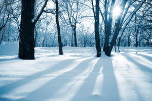 modern-3-piece-canvas-print-the-forest-without-tracks-in-the-snow