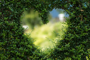 modern-3-piece-acrylic-print-the-heart-in-the-hedge