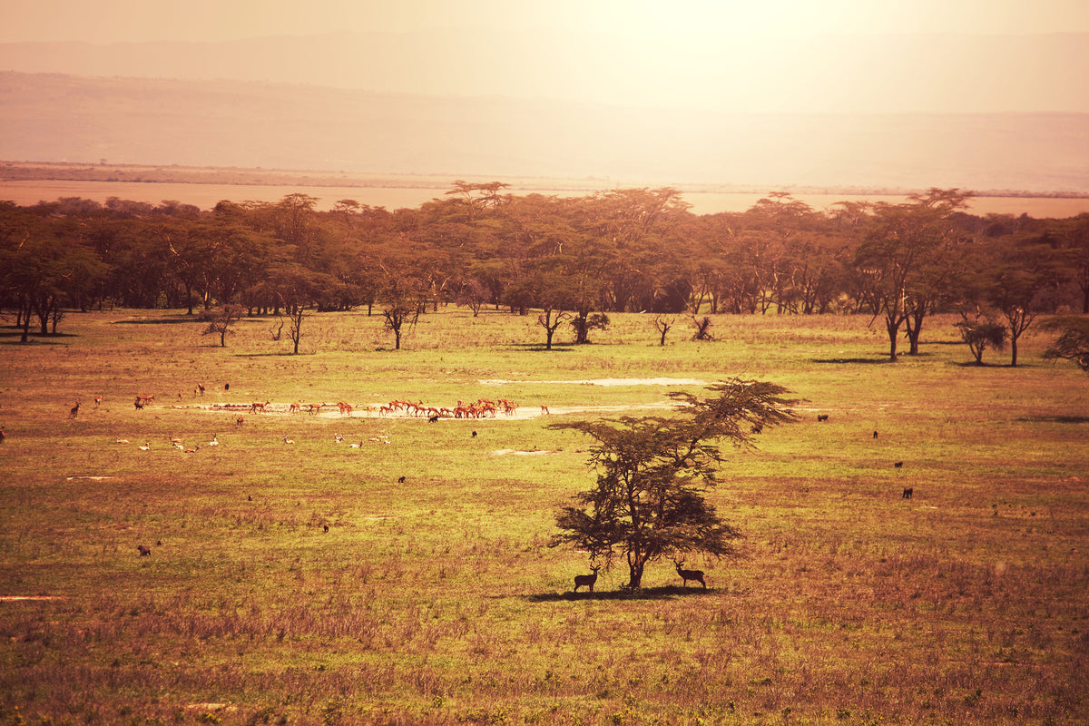 aluminium-print-picturesque-africa
