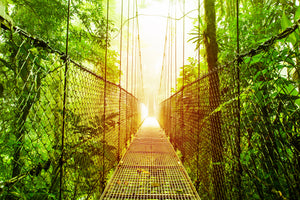 modern-3-piece-canvas-print-suspension-bridge
