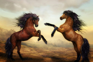 3-piece-canvas-print-two-wild-horses