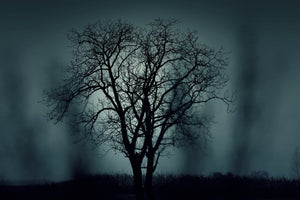 3-piece-canvas-print-the-tree-in-darkness