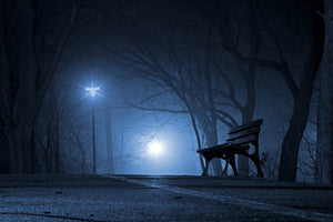 canvas-print-at-night-in-the-park