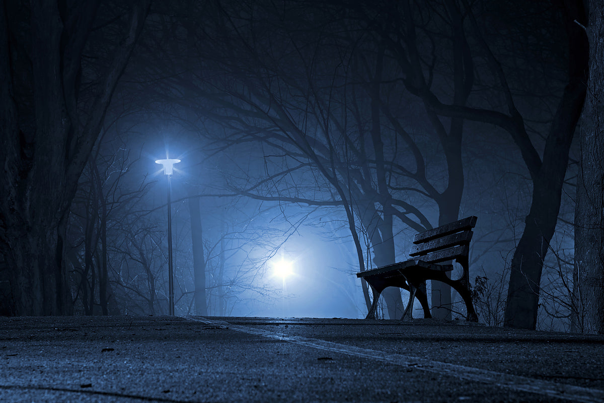 canvas-print-at-night-in-the-park