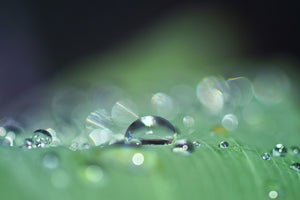 framedposter-print-drops-of-water-in-xxl