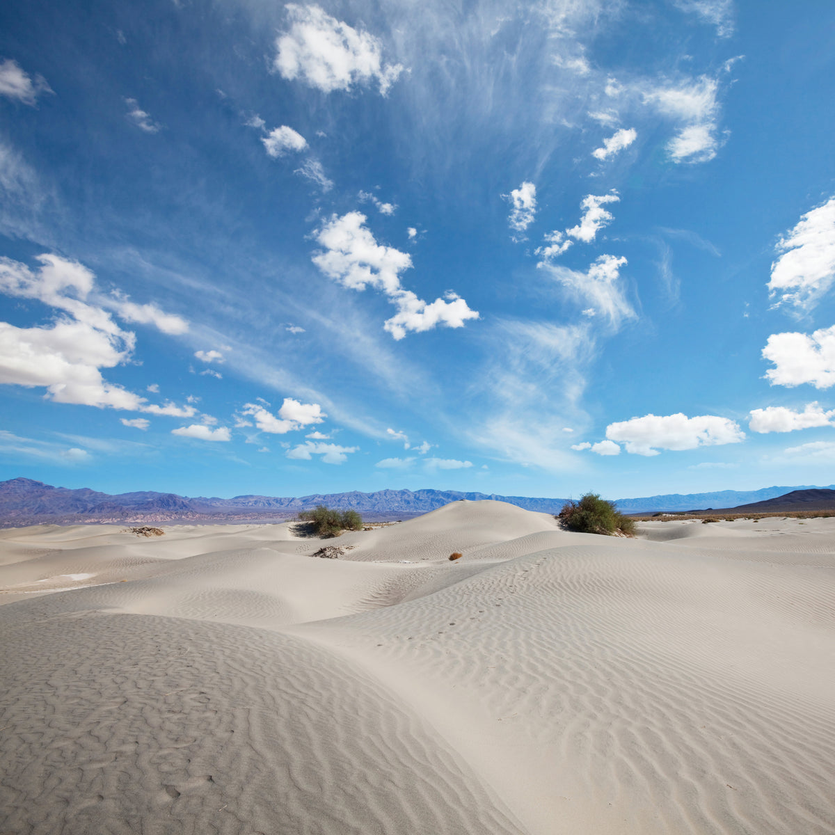 4-piece-canvas-print-desert-landscape