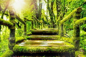 3-piece-canvas-print-moss