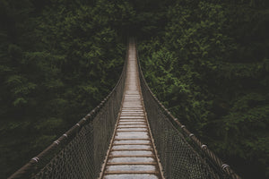 poster-print-exciting-bridge