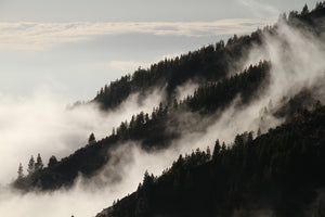 modern-3-piece-acrylic-print-fog-in-the-woods