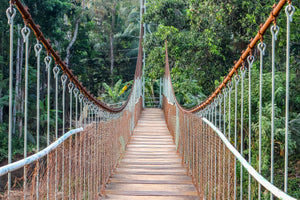 canvas-print-bridge-for-the-brave