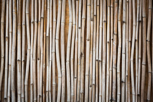 3-piece-aluminium-print-dried-bamboos