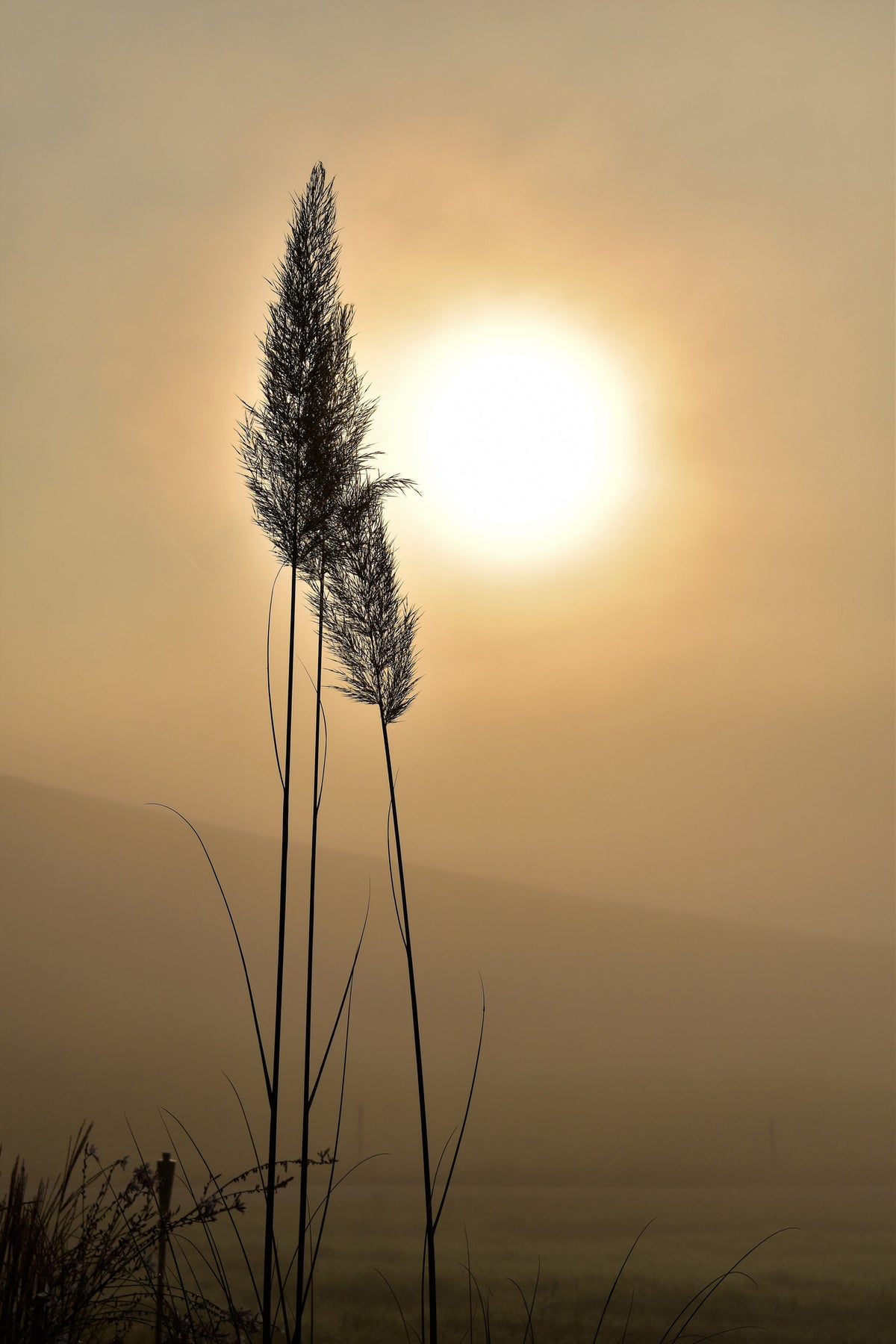 framedcanvas-print-atmospheric