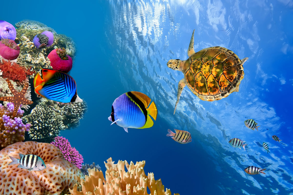 modern-3-piece-acrylic-print-fish-in-the-water