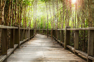framedcanvas-print-wooden-bridge
