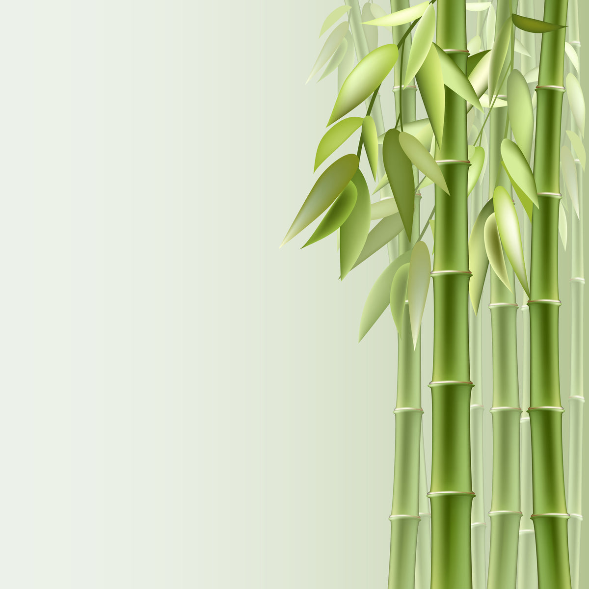 canvas-print-green-bamboo