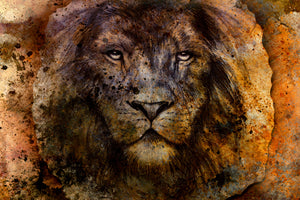 framedposter-print-portrait-of-a-lion-ii