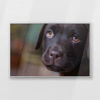 PS-100W070