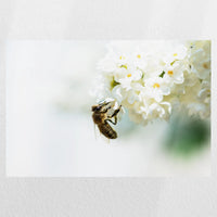 PO-045W030