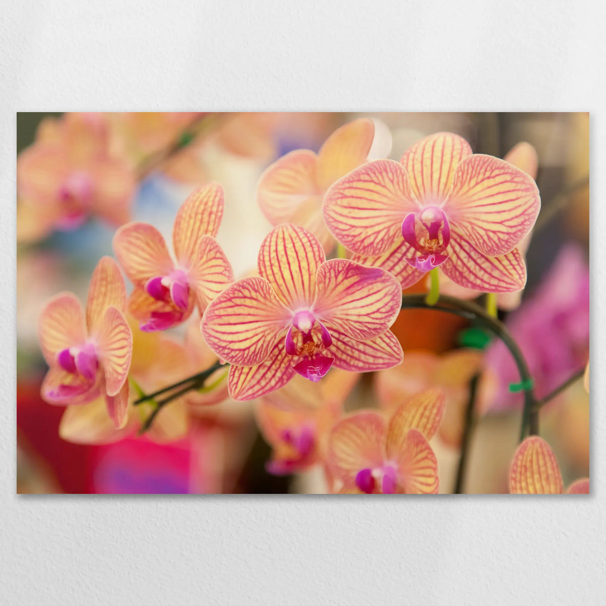 AL-120W080