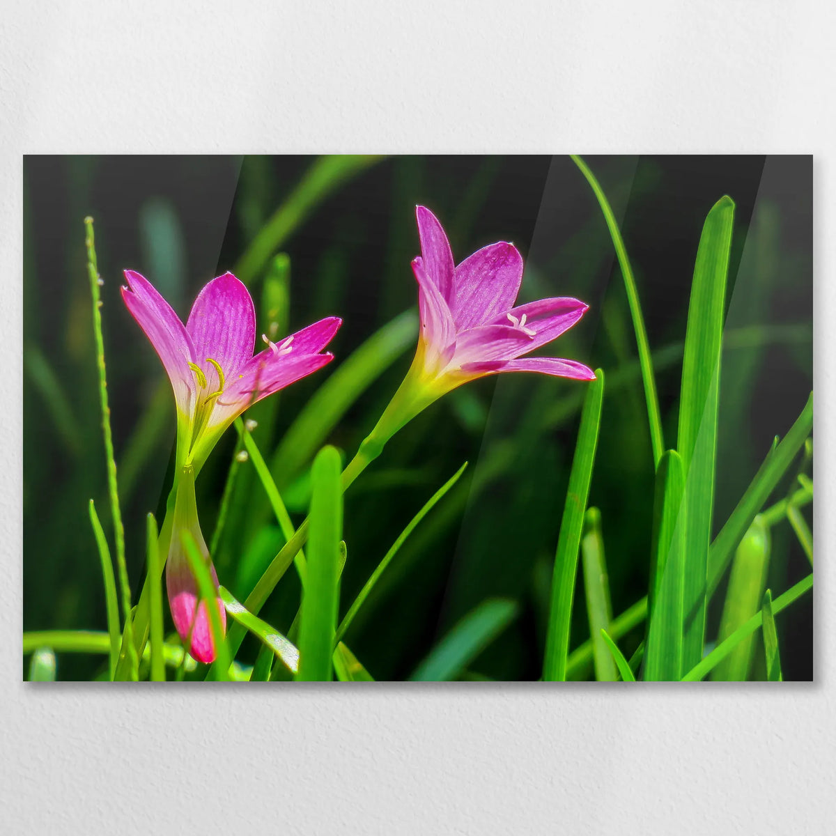 AC-090W060
