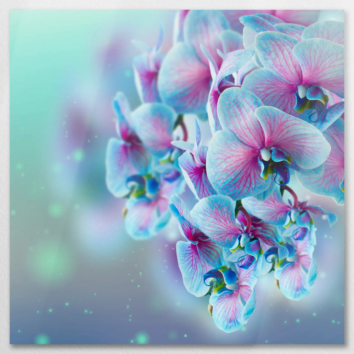 AL-080W080