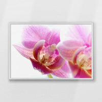 PW-093W062