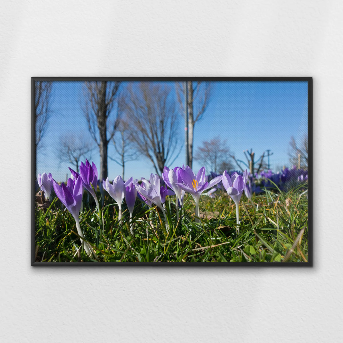 LWB120W080