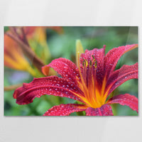 AC-120W080