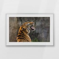 PSP100W070