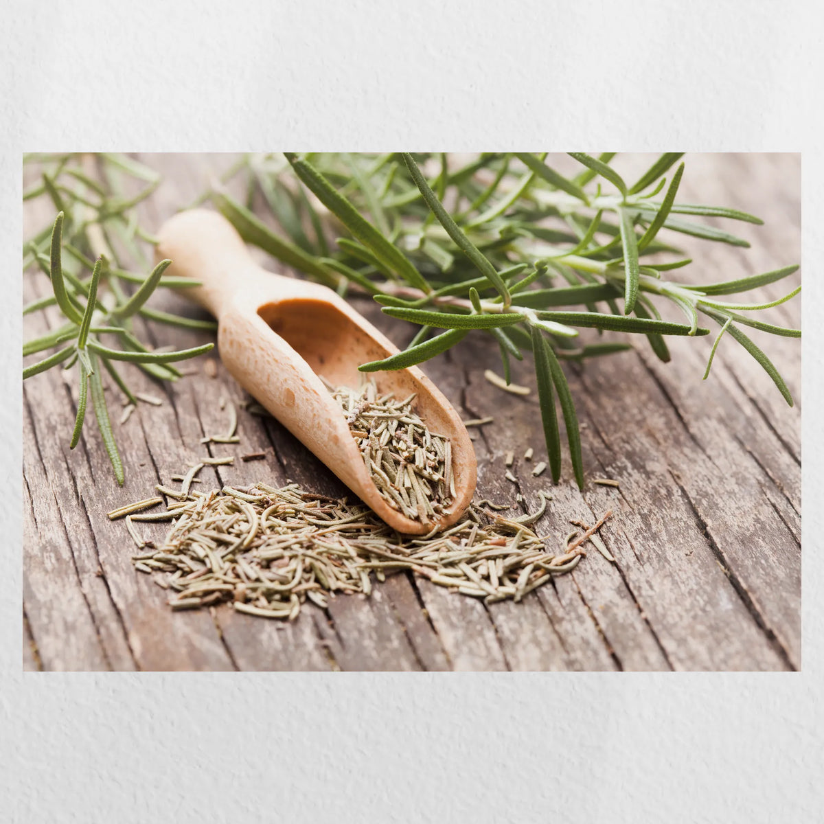 PO-045W030